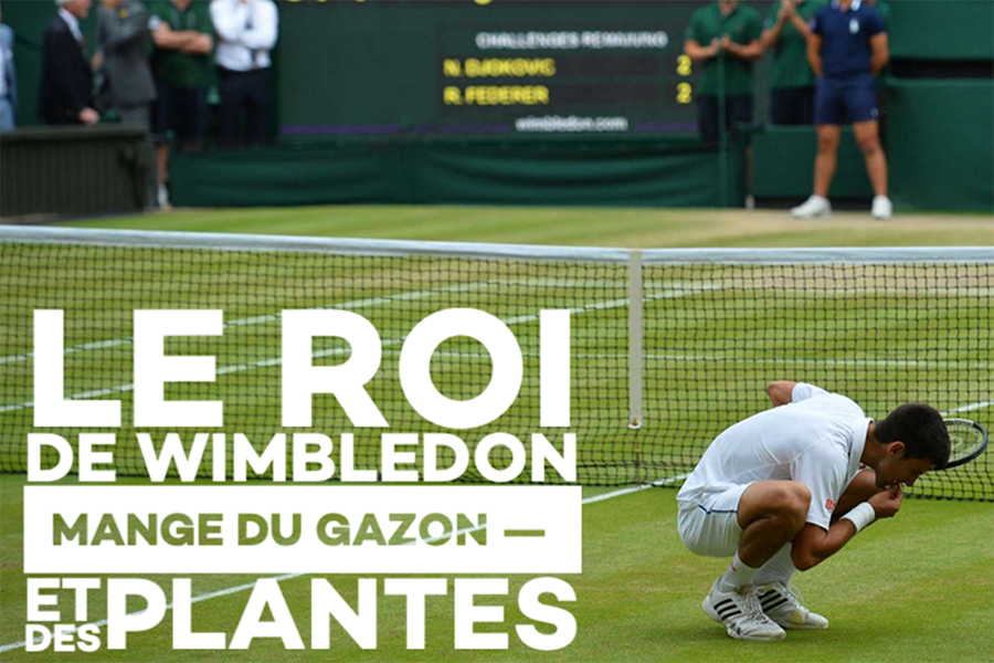 Le roi de Wimbledon mange du gazon - et des plantes