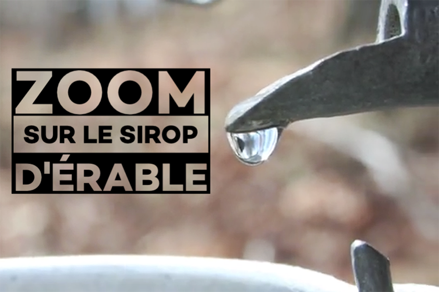 ZOOM SUR LE SIROP D'ÉRABLE