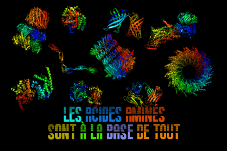acides3