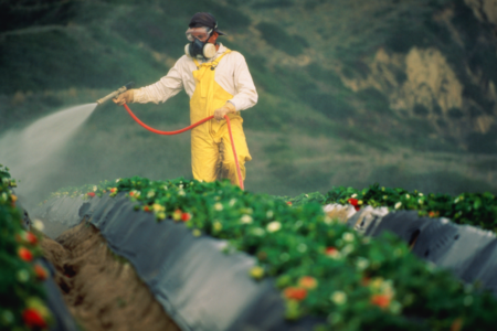 pesticides